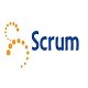Какие роли Scrum